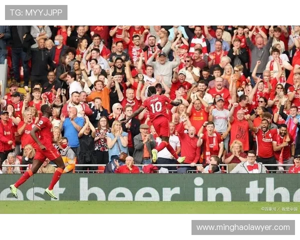 满布赖顿迎战曼联激战在即球迷期待精彩对决与进球盛宴