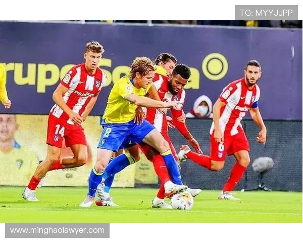 诺维奇对赫尔城精彩直播全程回顾与赛后分析