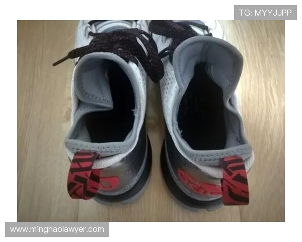 达米安利拉德：从新秀到NBA巨星的奋斗历程与成就解析