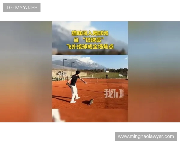 北京网球队状态变革引发热议球员表现与战术调整成焦点讨论